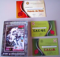 /album/galeria-de-fotos/internacional-de-lisboa-jpg/